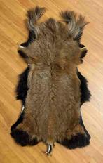 Geitenvacht 100/55, Gebruikt, 100 tot 150 cm, Bruin, Etten-Leur