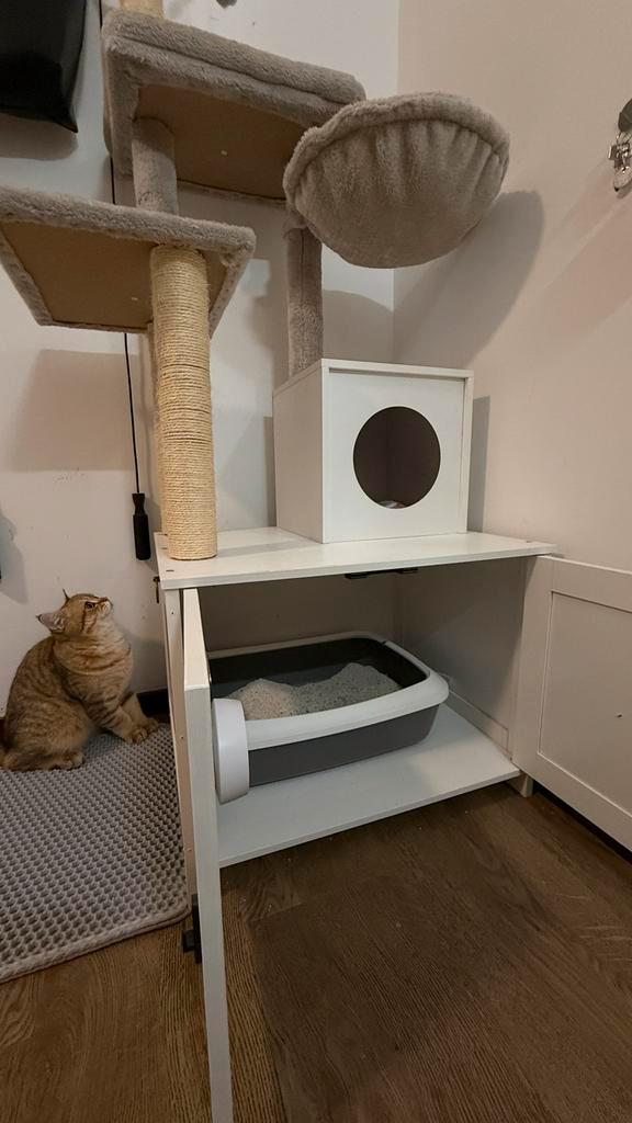 cat house, Dieren en Toebehoren, Katten-accessoires, Gebruikt, Ophalen of Verzenden