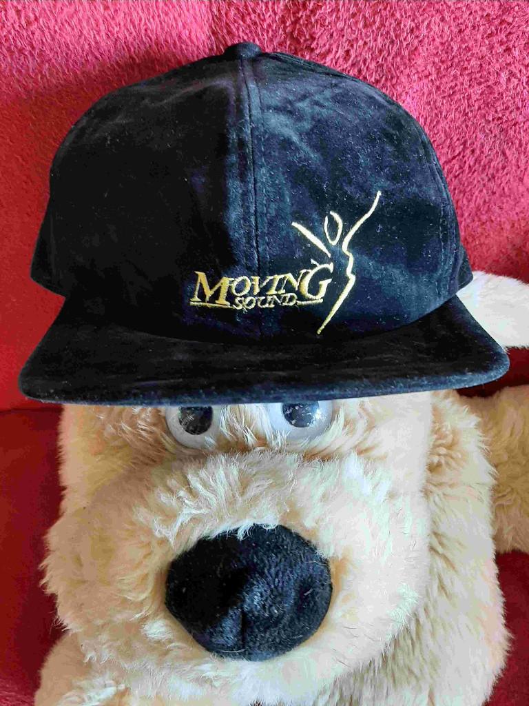 Hoogwaardige petten Moving Sound NIEUW 3 stuks voor 20€, Ophalen of Verzenden, Nieuw, One size fits all, Pet