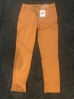 Nieuwe dames broek maat m vaste prijs, Ophalen of Verzenden, Zo goed als nieuw, Zwart, Lang