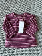 Nieuw Noppies Truitje Maat 56 Meisje, Kinderen en Baby's, Babykleding | Maat 56, Nieuw, Ophalen of Verzenden, Noppies, Truitje of Vestje