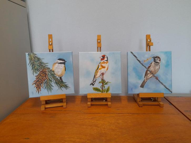 Schilderij puttertje mus & mees - eigen atelier - vogeltjes, Antiek en Kunst, Kunst | Schilderijen | Klassiek, Ophalen of Verzenden