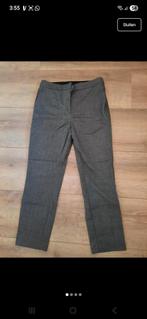 Fancy slacks, Kleding | Dames, Broeken en Pantalons, Maat 38/40 (M), Nieuw, Ophalen of Verzenden, Lang