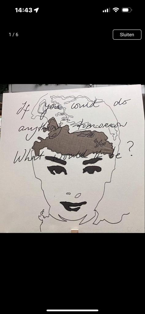 Textiel kunst audrey hepburn, Ophalen