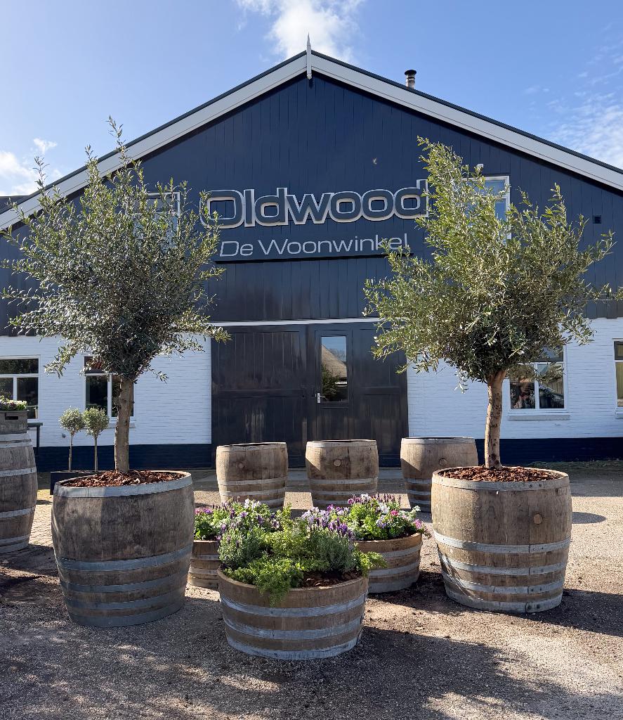 Plantenbak olijfboom | Houten vat | Bloembak | Ijsbad |, Rond, Ophalen of Verzenden, 60 cm of meer, Balkon