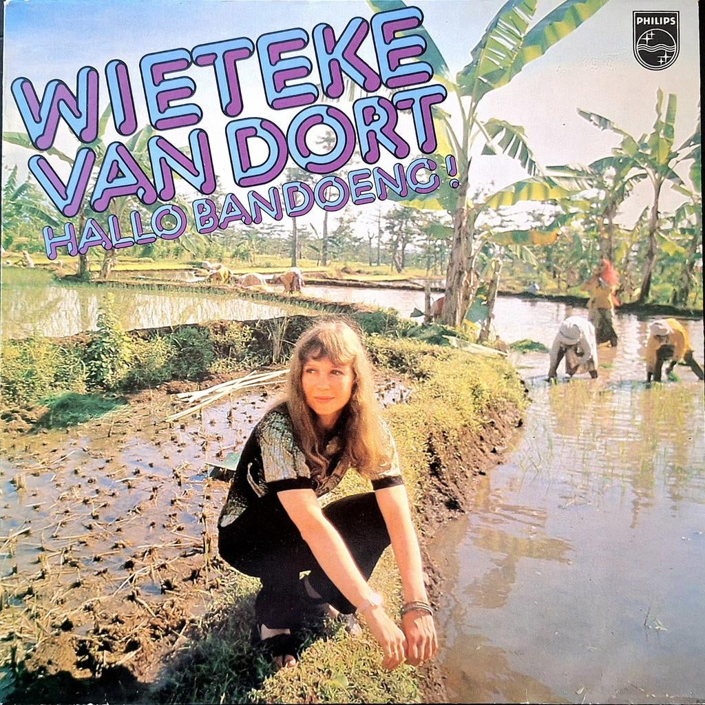 LP  WIETEKE VAN DORT - Hallo Bandoeng, Ophalen of Verzenden, Zo goed als nieuw, 12 inch