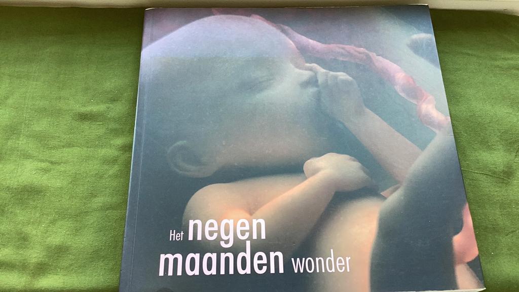 Het negen maanden wonder. Zwangerschap/ontwikkeling foetus., Ophalen of Verzenden, Zo goed als nieuw