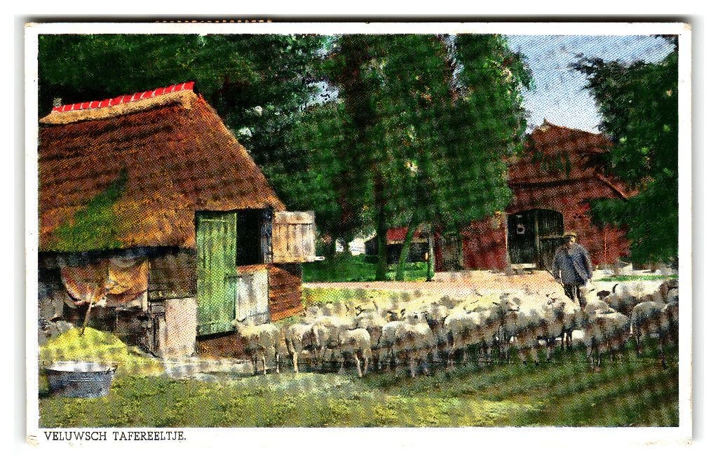 Veluwe, Veluwsch Tafereeltje, Verzenden, 1940 tot 1960, Gelopen, Gelderland