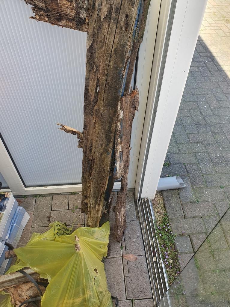 Klein stukje nog van pallet misschien voor kachel ofzo, Ophalen, Halfschaduw, Overige soorten, Minder dan 100 cm