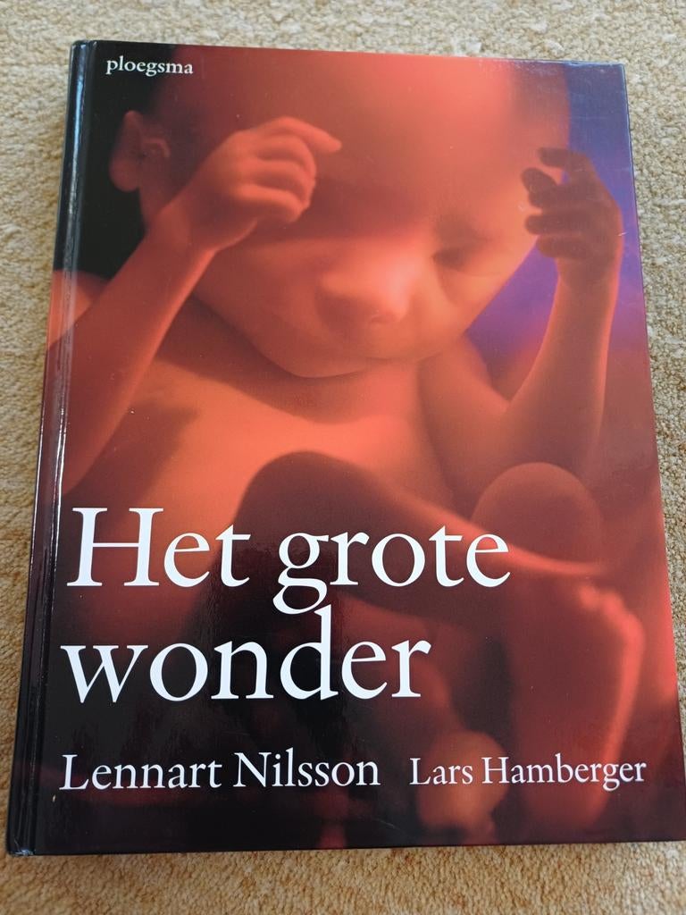 Lars Hamberger - Het grote wonder, Boeken, Zwangerschap en Opvoeding, Zo goed als nieuw, Zwangerschap en Bevalling, Ophalen of Verzenden