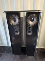 T+A Criterion T100 Vloerstaande Luidsprekers - Topgeluid, Overige merken, Gebruikt, Ophalen of Verzenden, 120 watt of meer