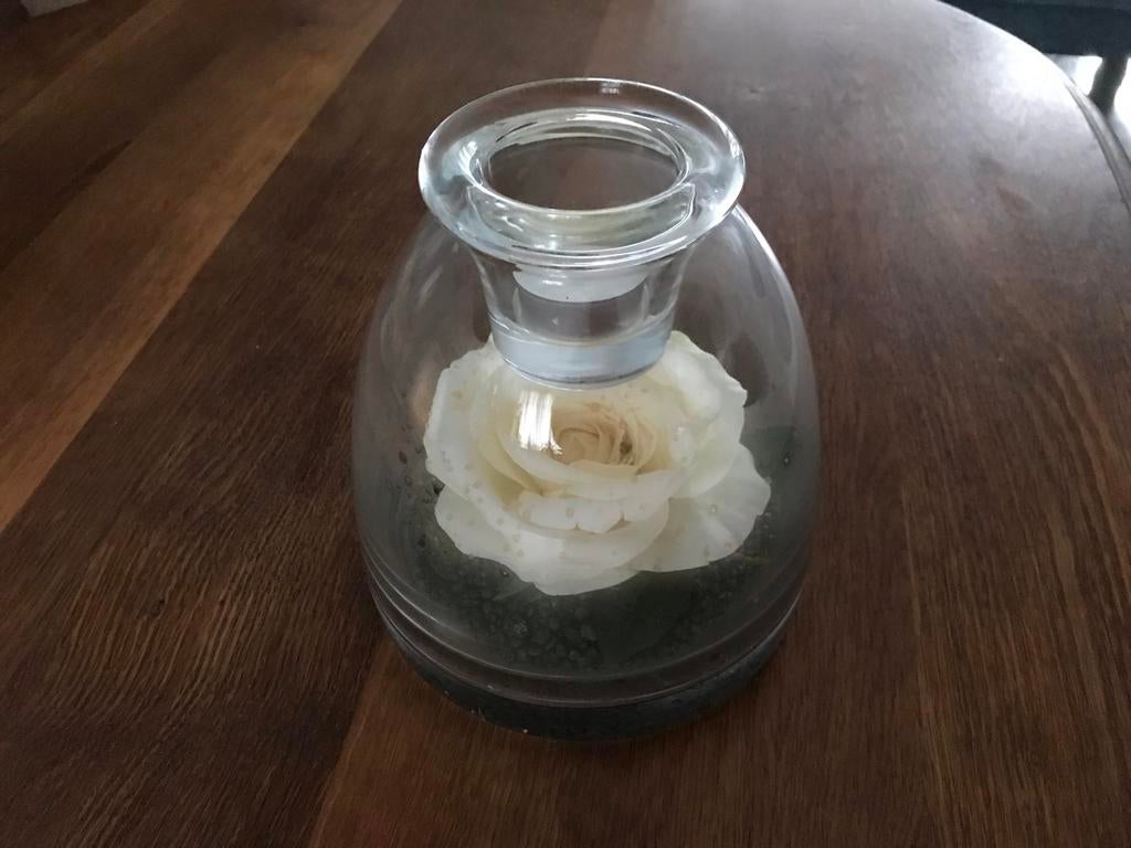 Glazen stolp met roos en waxinelichtje, Ophalen of Verzenden, Zo goed als nieuw