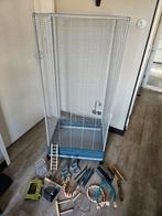 Kamer volière, Dieren en Toebehoren, Meerdere dieren, Dwergpapegaai of Agapornis