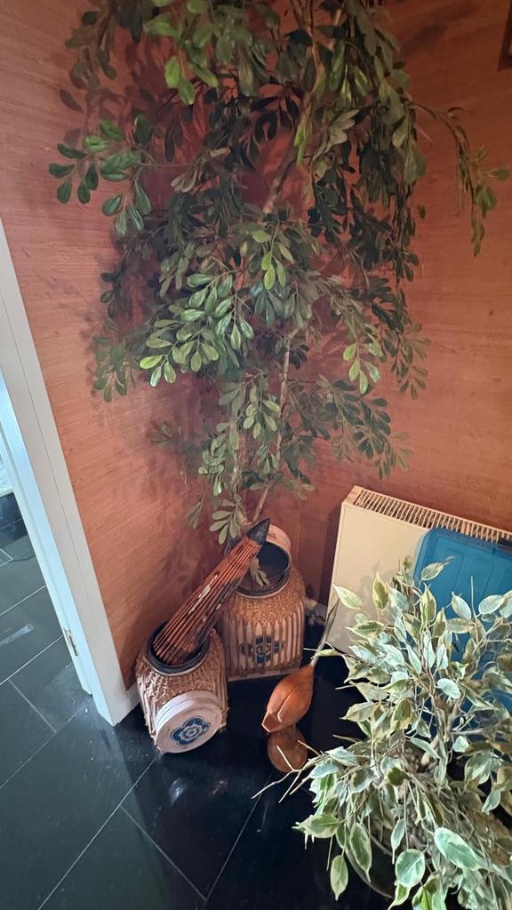 Twee gouden plantenpotten, Tuin en Terras, Bloempotten, Ophalen, Gebruikt, Rond, Binnen