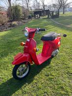 Honda Nifty 50, Ophalen, Gebruikt, 49 cc, Benzine