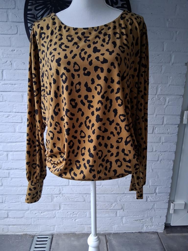2 blouses en 1 lang vest maat xxl in zeer mooie staat., Kleding | Dames, Ophalen of Verzenden, Zo goed als nieuw, Blauw, Blouse of Tuniek