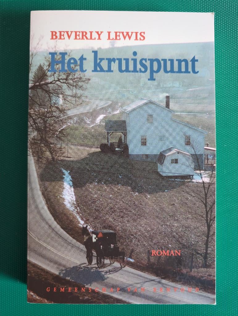 Beverly Lewis - Het kruispunt, Boeken, Romans, Ophalen of Verzenden, Zo goed als nieuw