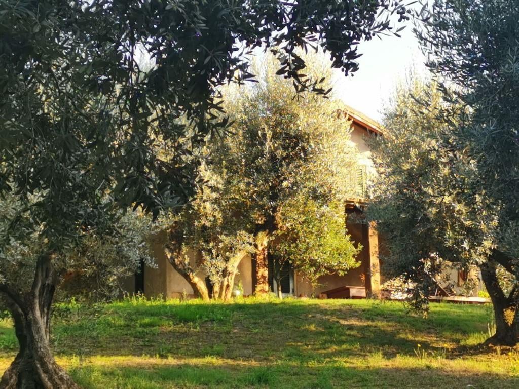 Vakantiehuis in Toscane vlak bij de zee, Vakantie, Vakantiehuizen | Italië, Bemiddelingsbureau, Dorp, 2 slaapkamers, Toscane