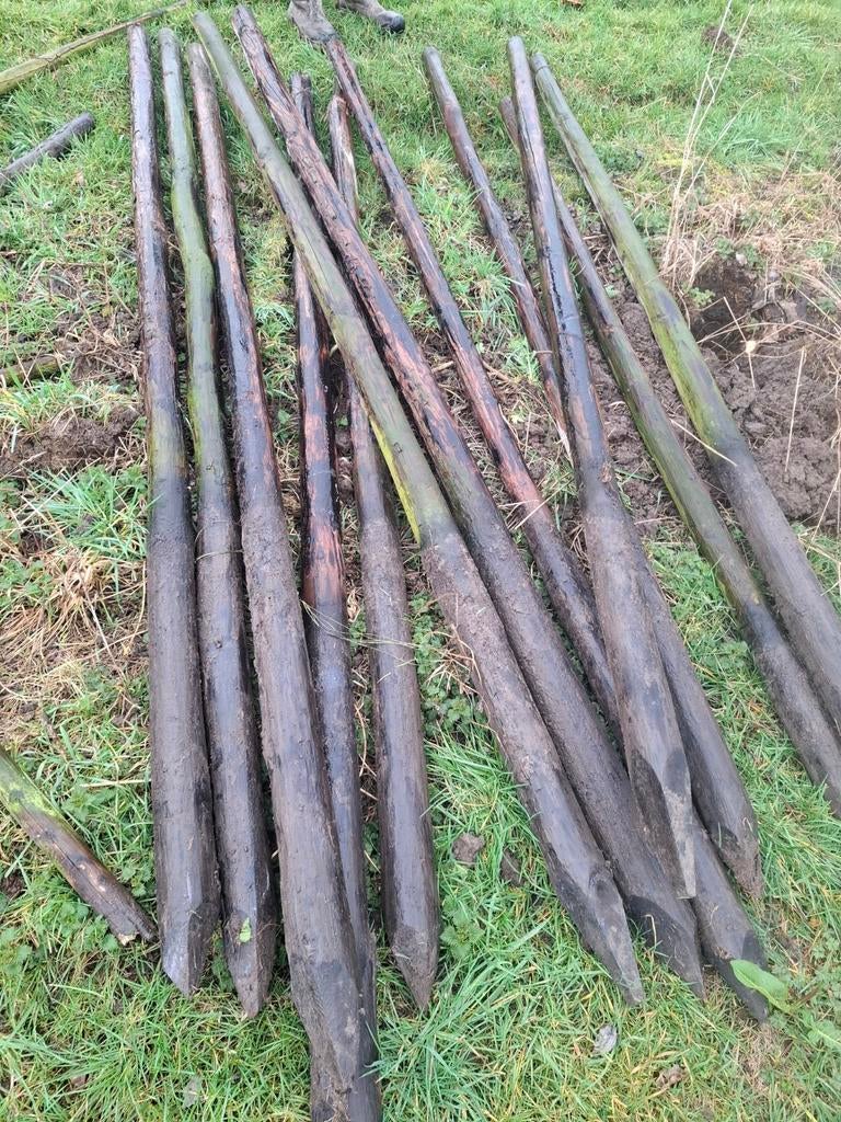Boom palen - 3 meter - boomgaard, Tuin en Terras, Palen, Balken en Planken, Ophalen, Gebruikt, 250 cm of meer, Palen
