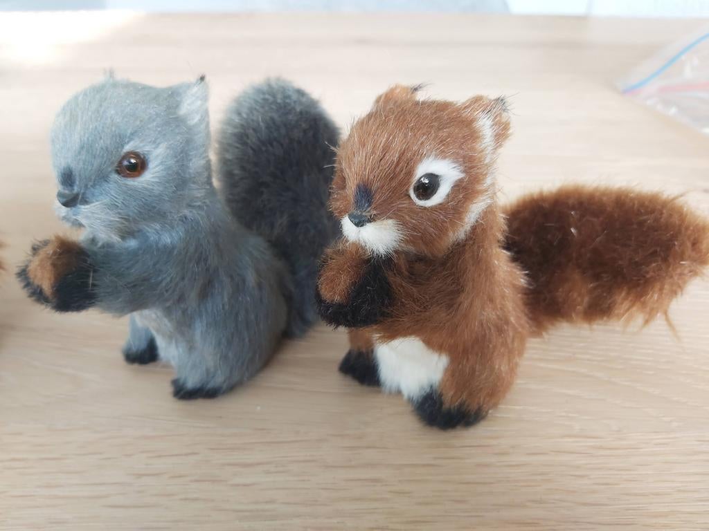 Kat en eekhoorn  teab, Ophalen of Verzenden, Zo goed als nieuw, Dier