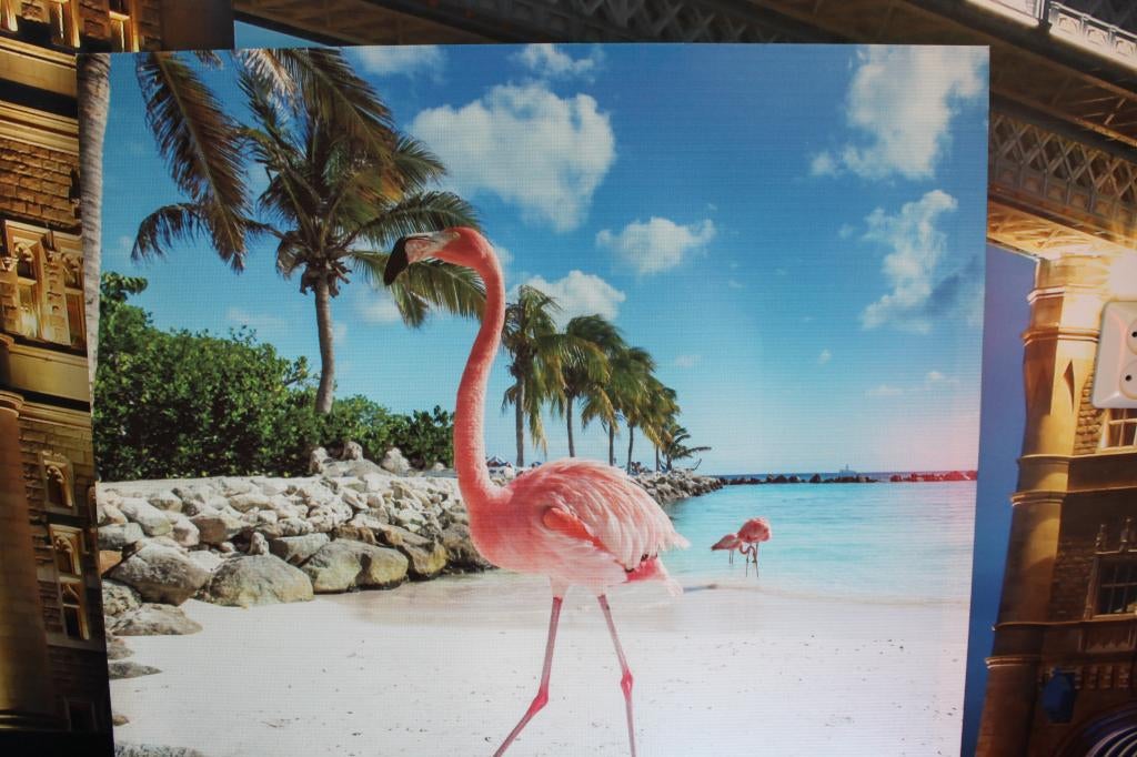 buiten schilderij flamingo canvas 76x76 cm, Ophalen of Verzenden, Zo goed als nieuw