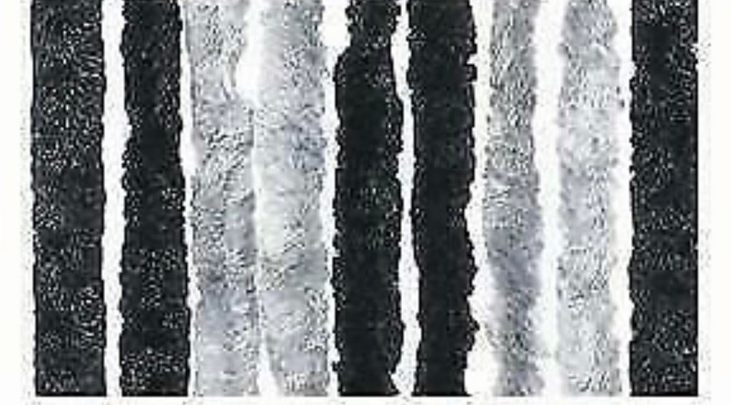 kattenstaart vliegengordijn 56x195, Ophalen