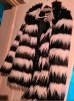 Jas maat M zgan, Ophalen of Verzenden, Zo goed als nieuw, Maat 38/40 (M), Zwart