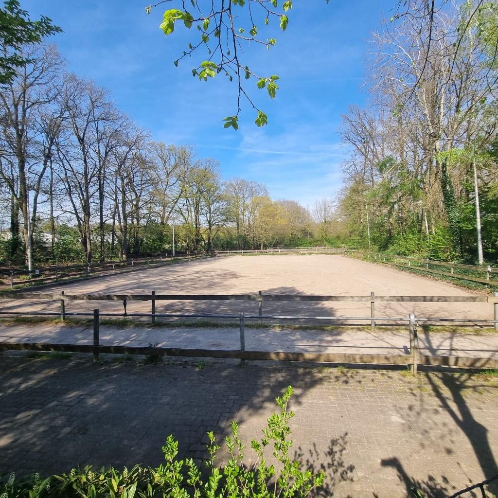 Pensionstal Heijen, Dieren en Toebehoren, Stalling en Weidegang, Stalling