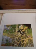 GROETEN VAN BIODIV/ HET MANGROVE-MOERAS, Ophalen of Verzenden, 1980 tot heden