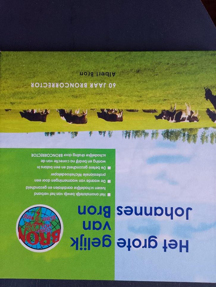 Het grote gelijk van Johannes Bron., Boeken, Geschiedenis | Vaderland, Zo goed als nieuw, 20e eeuw of later, Ophalen of Verzenden