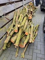 Haardhout op stam esk en esdoorn, Minder dan 3 m³, Ophalen