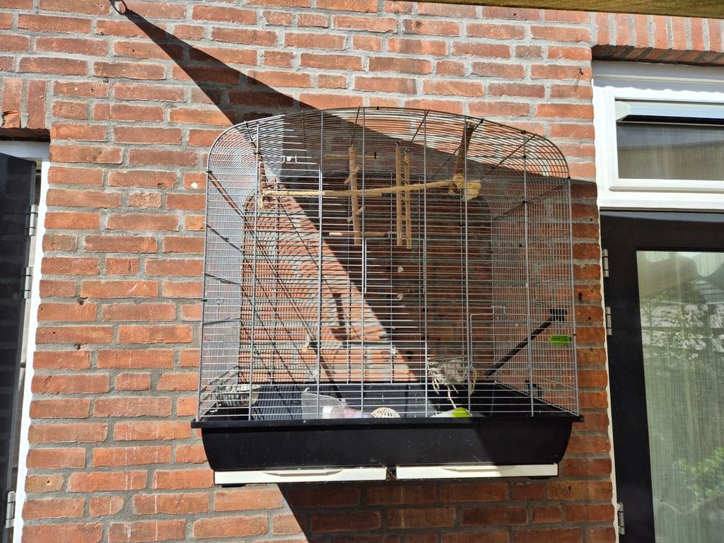 Vogels kooi, Dieren en Toebehoren, Vogels | Hokken en Kooien, Ophalen, Zo goed als nieuw, Metaal, Vogelkooi