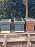 Bijenvolken te koop, Dieren en Toebehoren