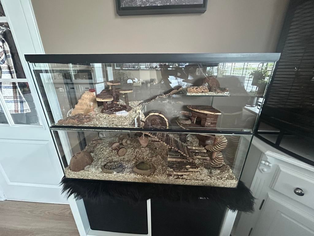 Terrarium hamster muis, Minder dan 75 cm, Zo goed als nieuw, Muis, Hok