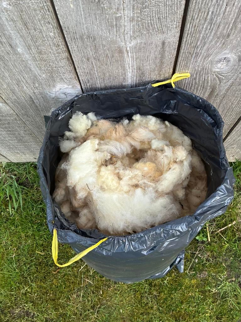 Wol, Ophalen of Verzenden, Zo goed als nieuw, Spinwol