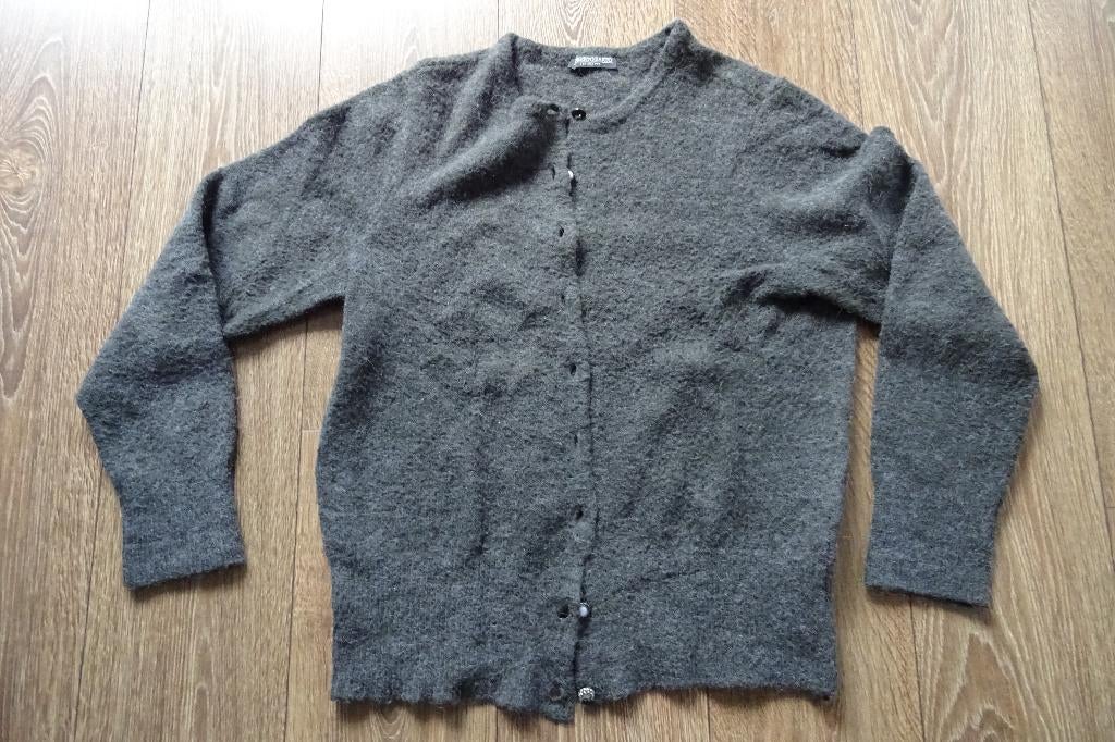 Mooi grijs vest maat 44 Roberto Sarto, Kleding | Dames, Maat 42/44 (L), Ophalen of Verzenden, Zo goed als nieuw, Grijs