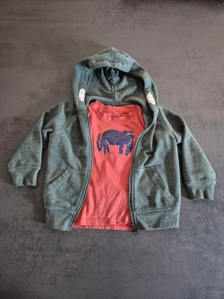 Vest en shirt groen donker oranje kat poes maat 104, Ophalen of Verzenden, Zo goed als nieuw, Jongen, Trui of Vest