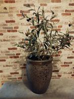 Mooie pot met olijfboompje, Ophalen, Steen, Rond, Zo goed als nieuw