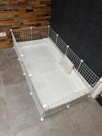 Cavia hok Draadstaal., Dieren en Toebehoren, Hok, Cavia, Ophalen, Minder dan 60 cm