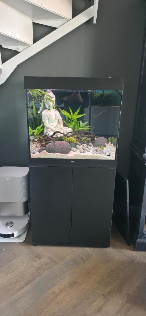 Juwel LIDO 200, Ophalen, Gebruikt, App-bediening, Leeg aquarium
