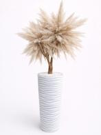 PAMPAS BOOM, Ophalen, Zo goed als nieuw