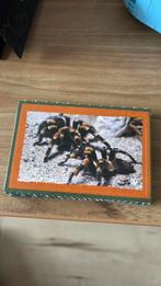 Deka actie artis, Dekamarkt, Ophalen