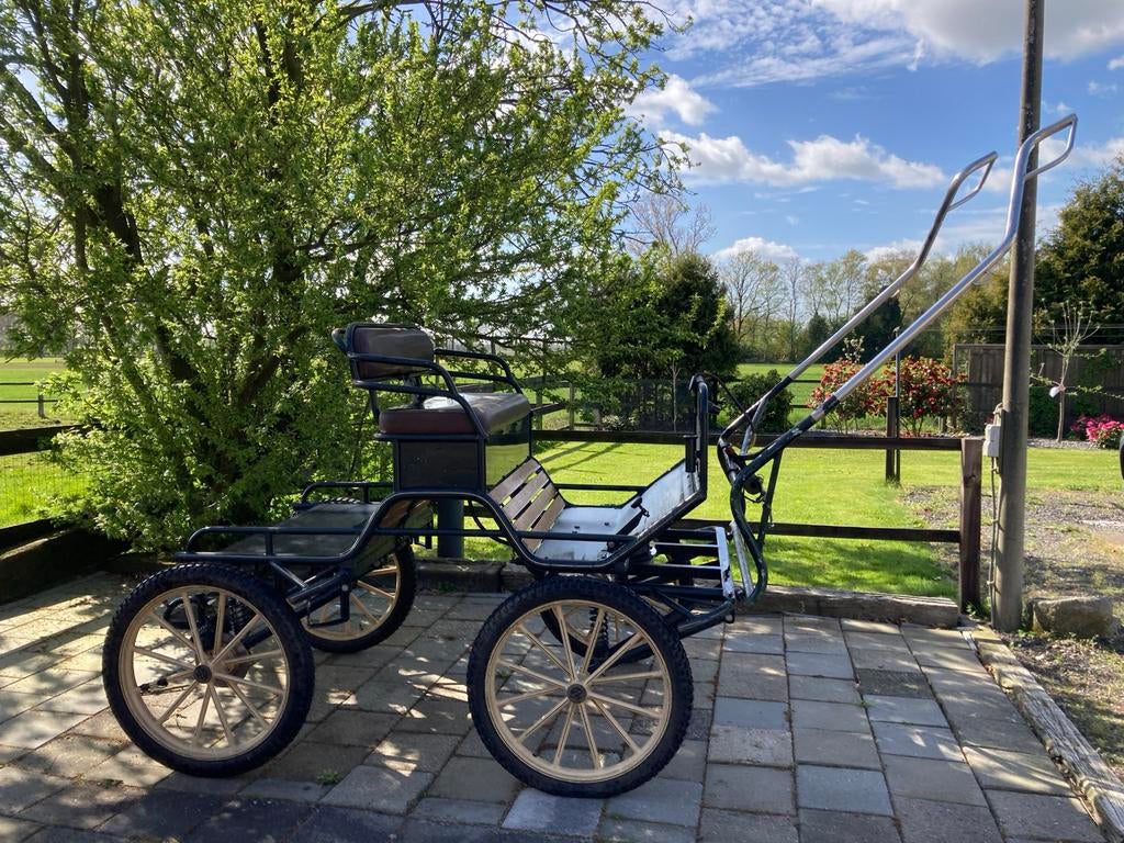 Super comfortabele Henk Delen recreatiemenwagen, Dieren en Toebehoren, Gebruikt, Overige typen, Paard of Pony