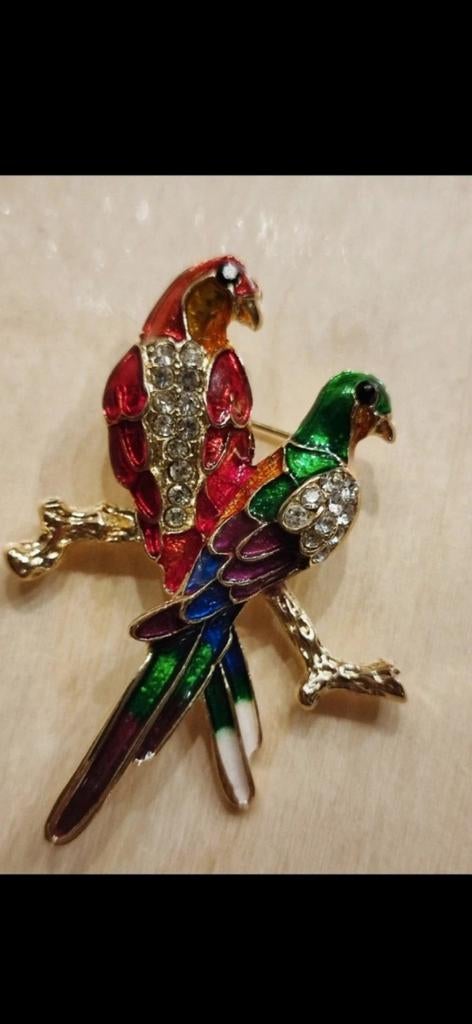 Nieuwe Broche Papegaaien op Tak - Kleurrijk met Strass, Sieraden, Tassen en Uiterlijk, Broches, Ophalen, Overige materialen, 4 tot 7 cm