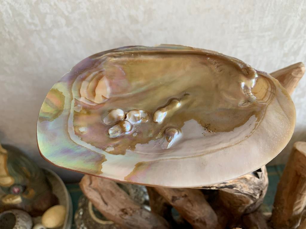 Parelmoeren schelp met ingebedde parels, Ophalen of Verzenden, Zo goed als nieuw