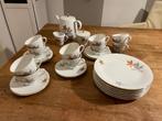 Vintage servies Seltmann Weiden Bavaria, Huis en Inrichting, Ophalen, Zo goed als nieuw, Overige stijlen, Kop(pen) en/of Schotel(s)