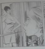 Miranda Blaise - De rode griffioen / Panda uitgaven Holdaway, Eén stripboek, Verzenden, Gelezen