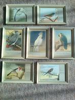 papagaaien lijstjes 10x15cm e, Ophalen of Verzenden, Hout, Minder dan 50 cm, Minder dan 50 cm