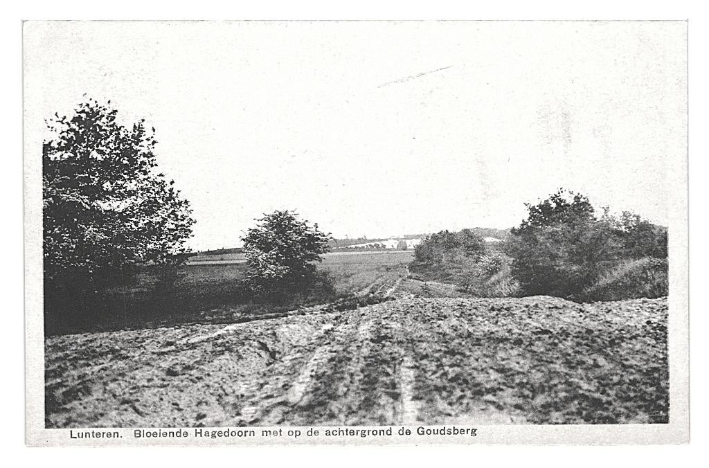948329 Lunteren Gld 1938 Bloeiende Hagedoorn Goudsberg, Ophalen of Verzenden, 1920 tot 1940, Gelopen, Gelderland
