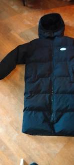 Dikke warme dames winterjas Maat L, Kleding | Dames, ., Zwart, Maat 42/44 (L), Ophalen of Verzenden